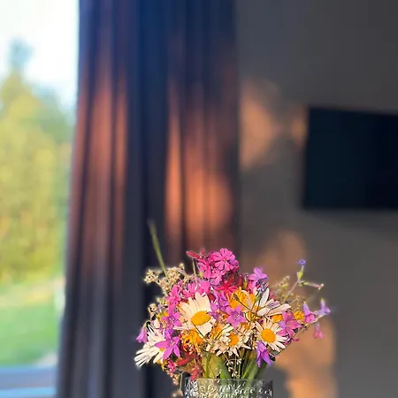 Vista Krasiya Appartement Vyshka