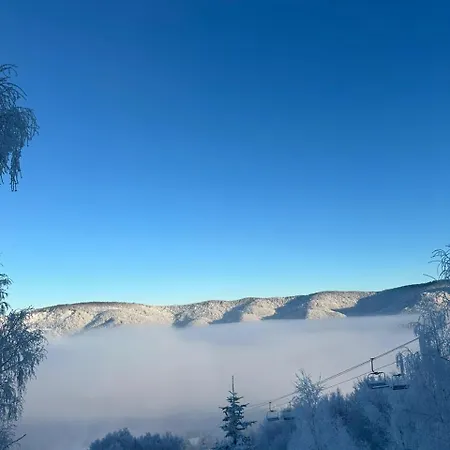 Vista Krasiya *