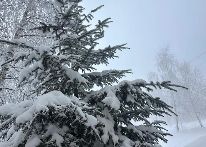 Vista Krasiya